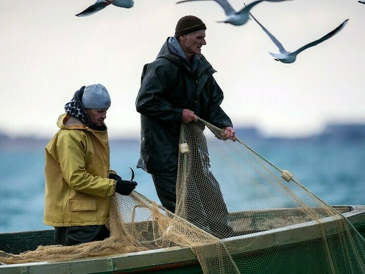 Изображение В Приморье рыбаки массово вышли за минтаем 