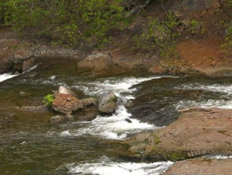Реки на Сахалине подлежат зарыблению горбушей