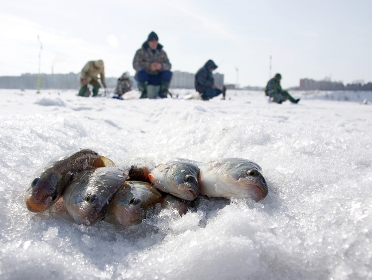 Изображение В Смоленской области закрыли сезон подледной рыбалки