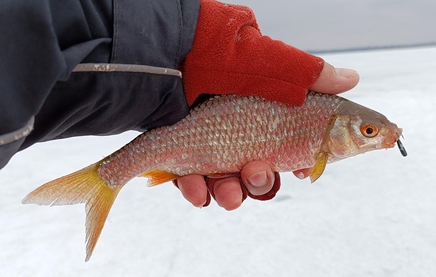 Изображение Фото: Коломийца Алексея. 