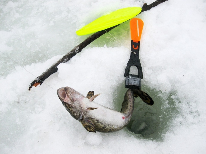 Изображение Фото: Токарева Александра. 