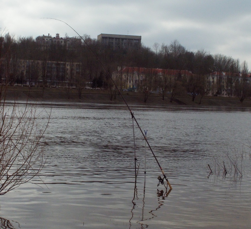 Изображение Фото: Линника Николая. 