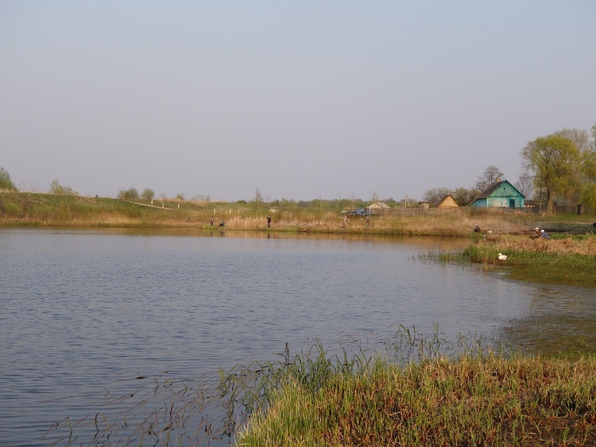 Изображение Фото: Линника Николая.