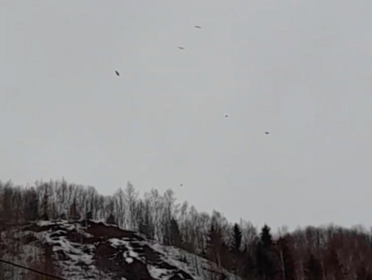 Изображение Полет орланов запечатлели на Сахалине