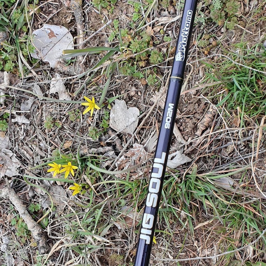 Изображение Фото: Коломийца Алексея. 