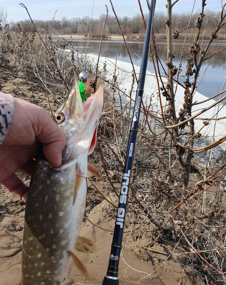 Изображение Фото: Коломийца Алексея. 