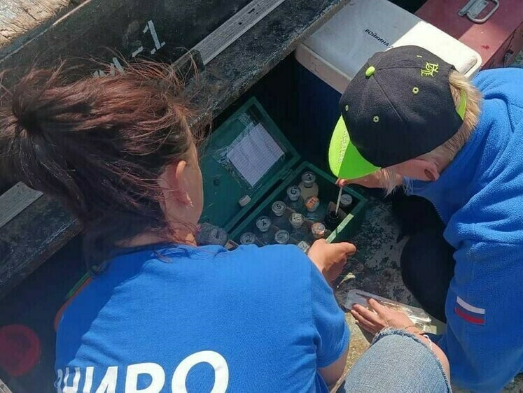 Изображение Ученые определили наиболее вероятные сроки нереста рыбы