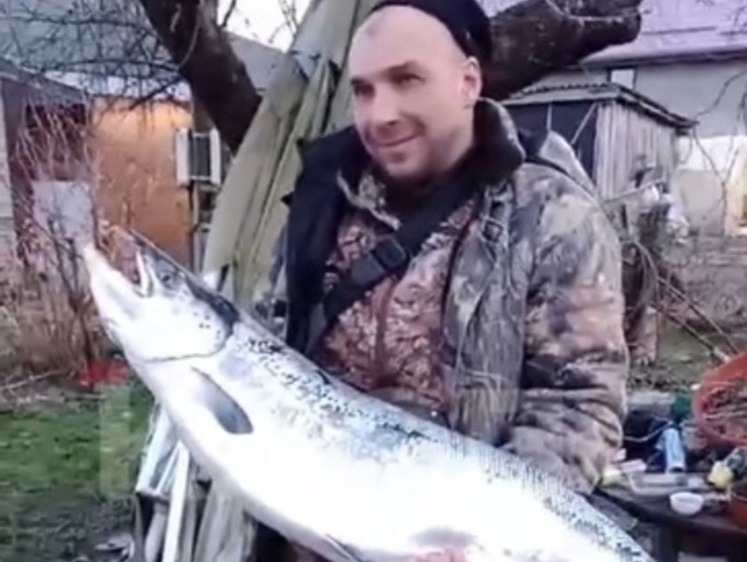 Изображение Тащили вдвоем: рыбаки Балтийска добыли гигантского лосося