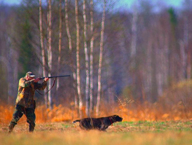 В Татарстане 60 тысяч человек имеют охотничьи билеты