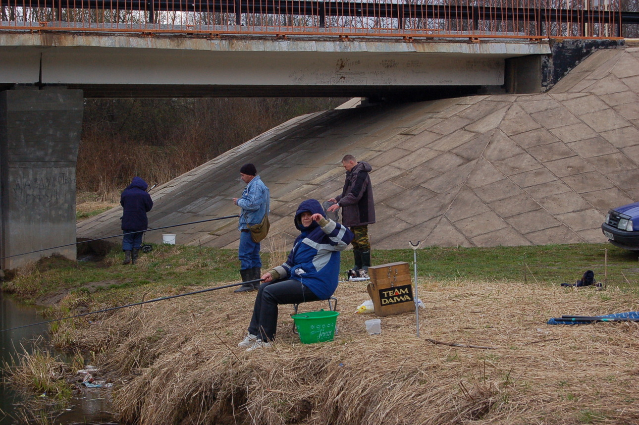 Изображение Здесь рыба скопилась ниже отмели под мостом. Фото: Яншевского Андрея. 