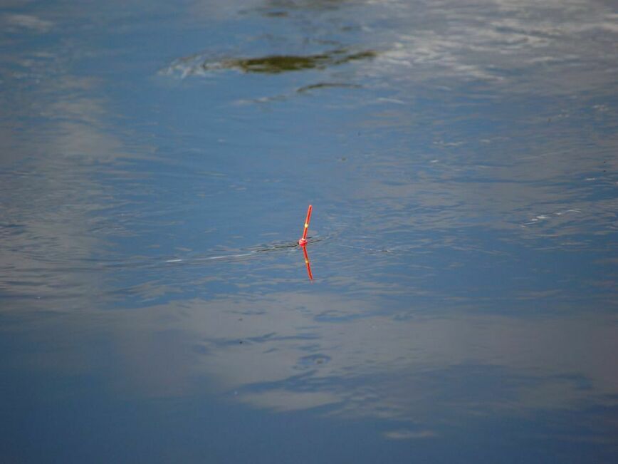 Изображение Стоит на течении и не даже не дергается. Фото: Яншевского Андрея. 