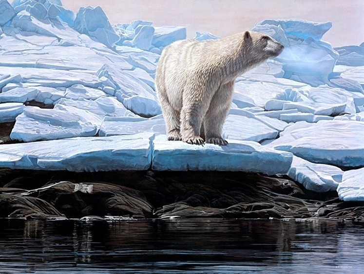 Изображение Ученых на станции полуострова Русский пришел проверять белый медведь