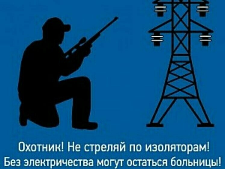 Изображение Нижегородских охотников призвали не стрелять вблизи вышек ЛЭП