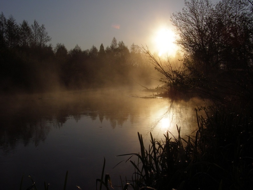 Изображение Фото: Линника Николая. 