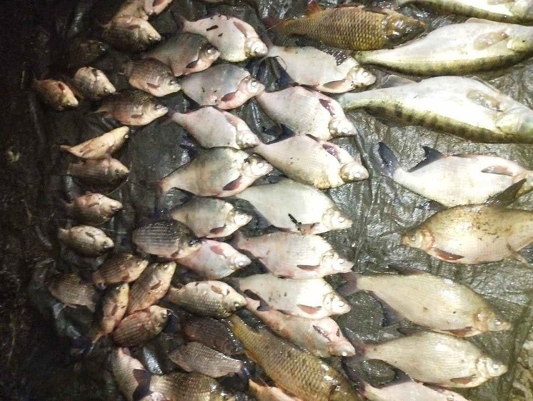 Изображение В нерест рыбы рыбоохрана патрулирует водоемы с полицией