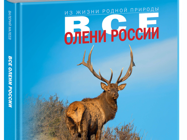 Новая фотокнига Валерия Малеева «Все олени России» уже в продаже