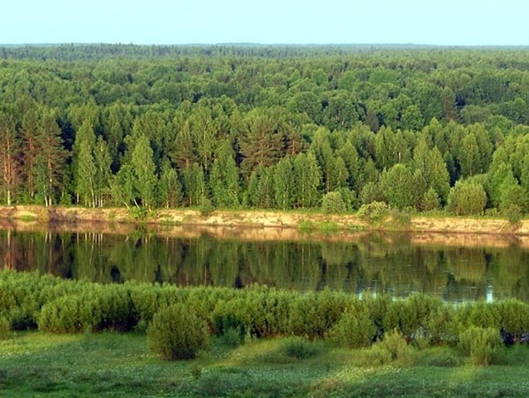В Нижегородской области данные о лесных ресурсах оцифровали