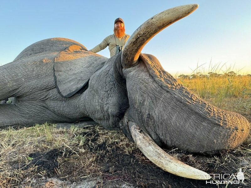 Охота на слонов в Зимбабве