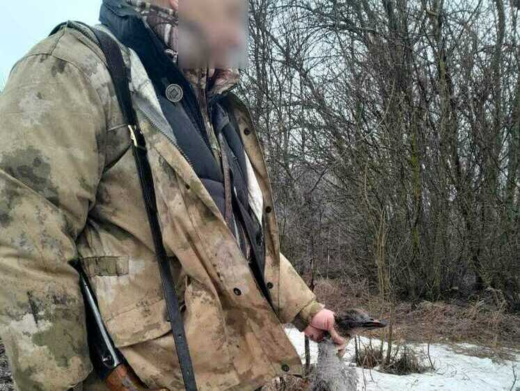 Изображение Пензенские нарушители правил охоты получили штрафы