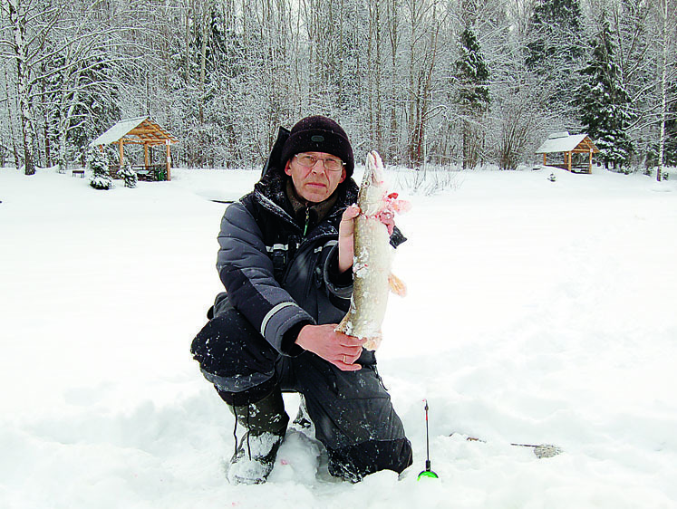 Изображение Настоящий профессионал. Андрей Яншевский отмечает День рождения