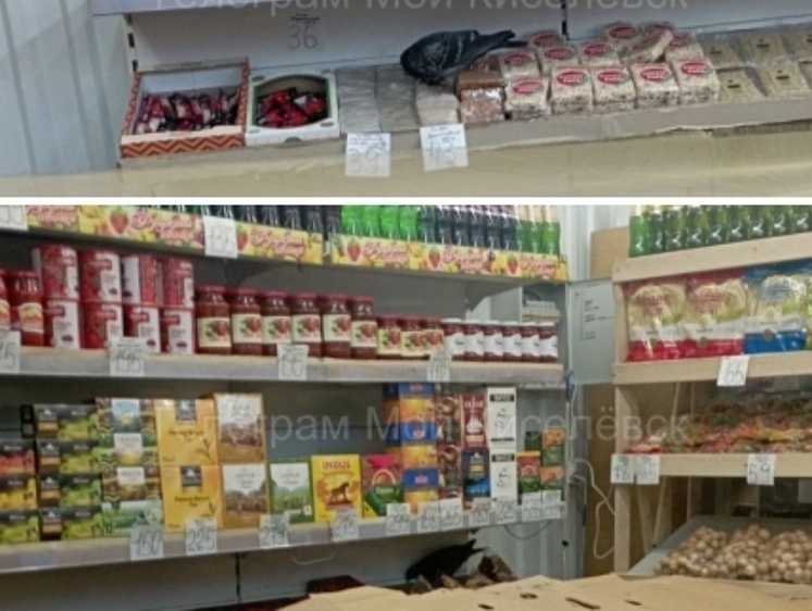 Изображение В Кузбассе два «шпиона» проникли в магазин