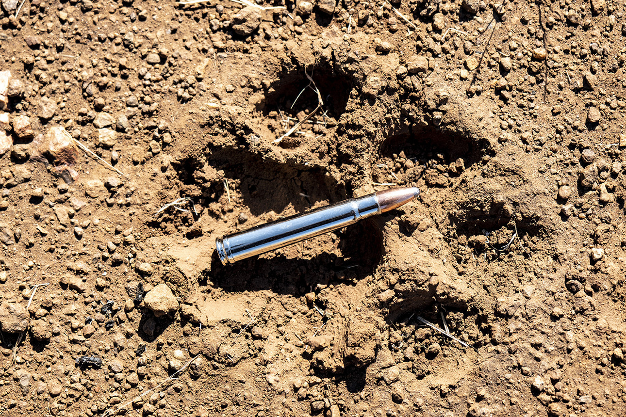 Изображение Охота у реки Матетси означает пересечение путей со львами. Этот отпечаток лапы превосходит патрон .375 H & H. Фото: outdoorlife.com 
