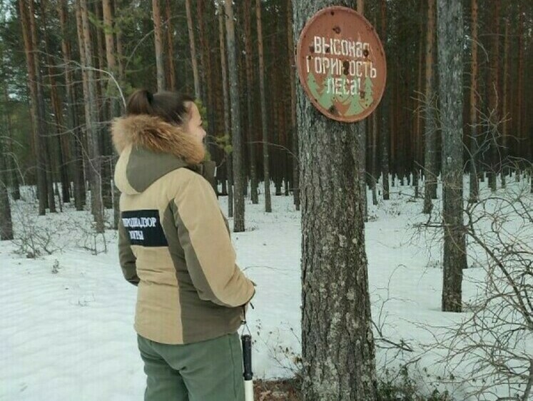 Изображение Охотников Югры просят не расстреливать щиты в лесах