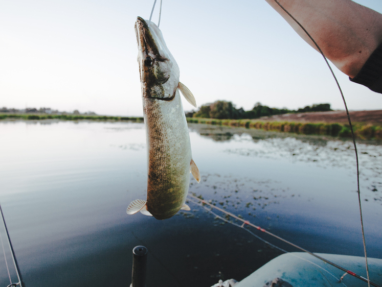 Изображение В Пермском крае полностью запрещены все виды рыболовной деятельности