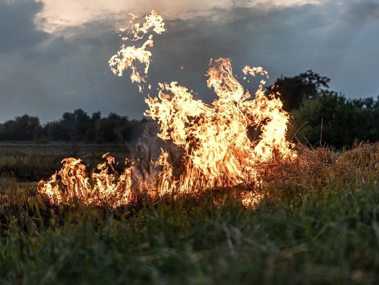 Изображение В Забайкальском крае два могильщика кладбища спалили два гектара леса