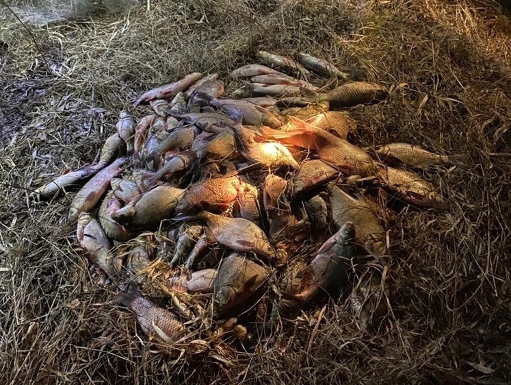 Изображение Ночной рейд браконьера прервала рыбоохрана