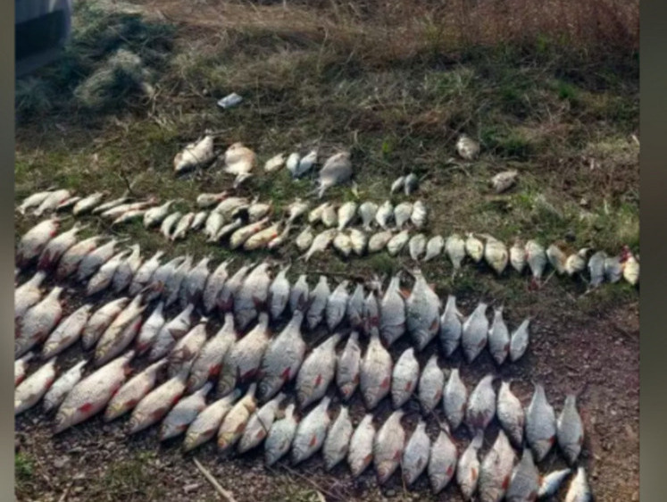 Изображение Башкирский рыбак поймал 130 рыбин на территории нацпарка