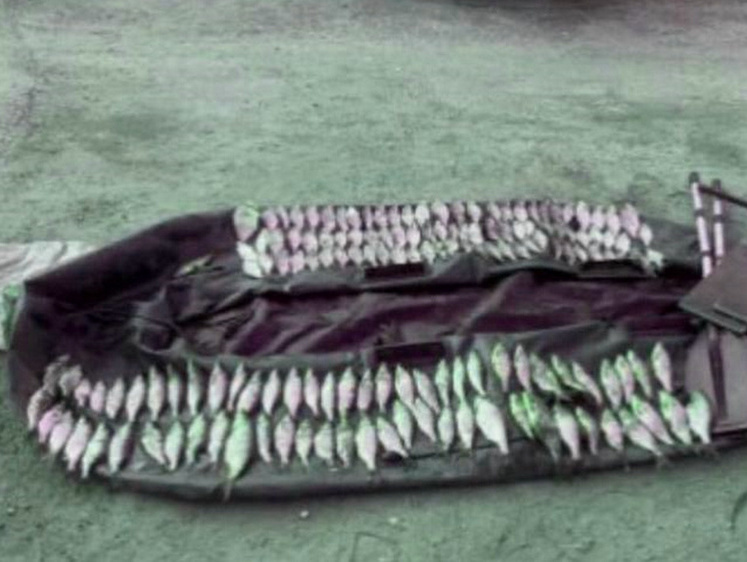 Изображение Сети и хвосты: в Смоленской области задержан набитый рыбой автомобиль