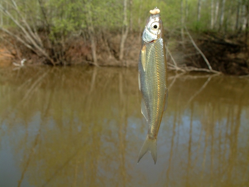 Изображение Фото: Токарева Александра.