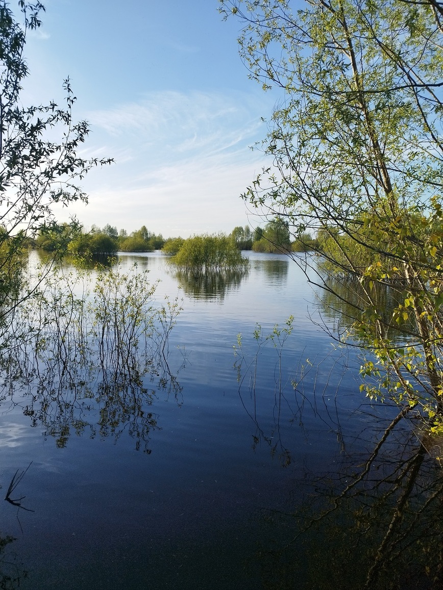 Изображение Фото: Линника Николая.