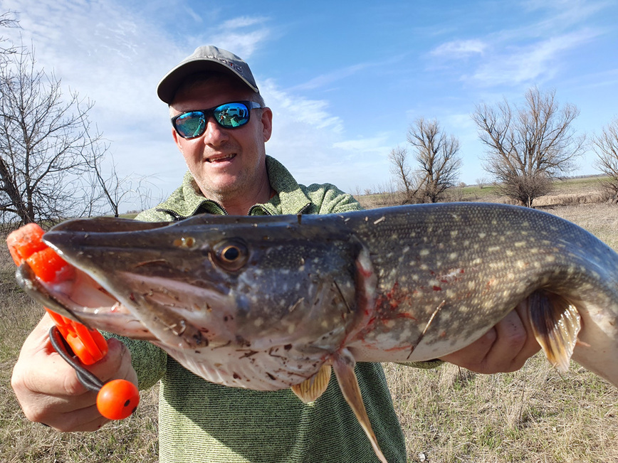 Изображение Фото: Коломийца Алексея.