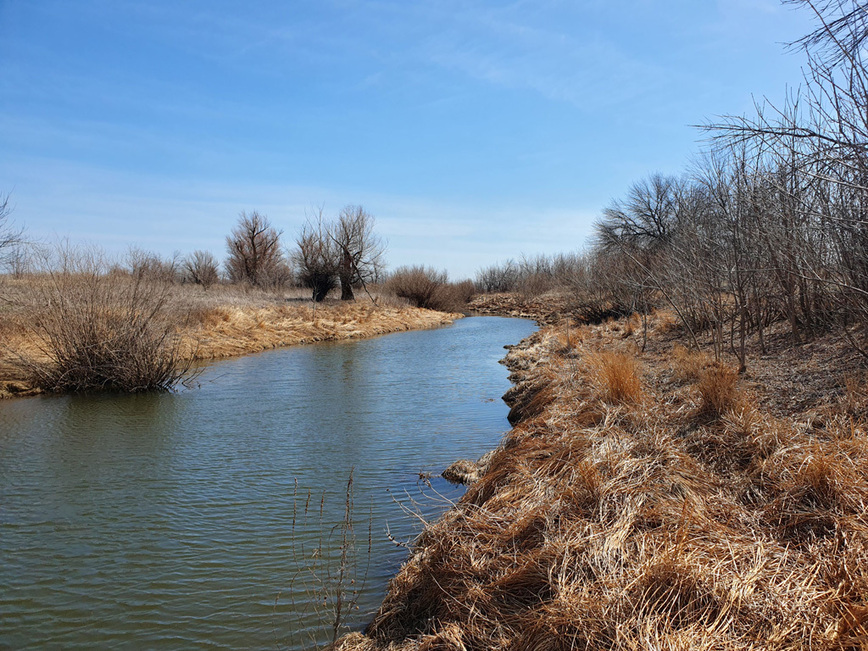 Изображение Фото: Коломийца Алексея.
