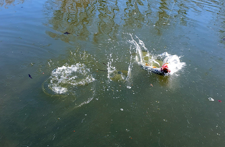 Изображение Фото: Коломийца Алексея.