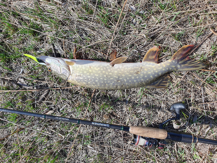 Изображение Фото: Коломийца Алексея.