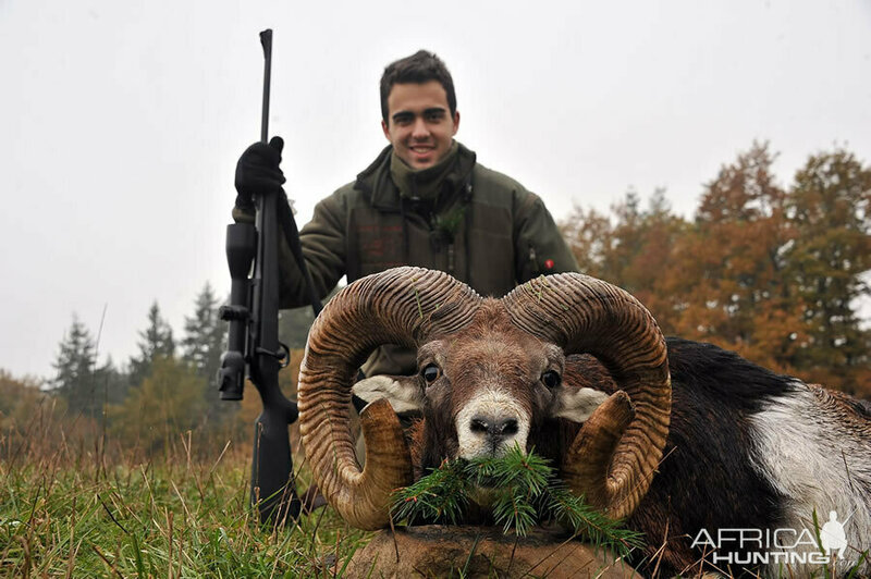 Изображение Фото: africahunting.com