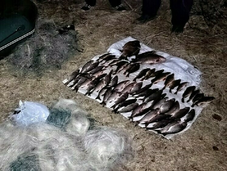 Изображение В Забайкальском крае действует усиленный режим работы рыбоохраны
