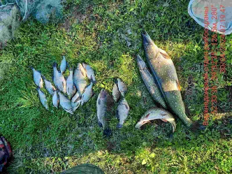 Изображение На реке Воронеж поймали браконьеров с сетями