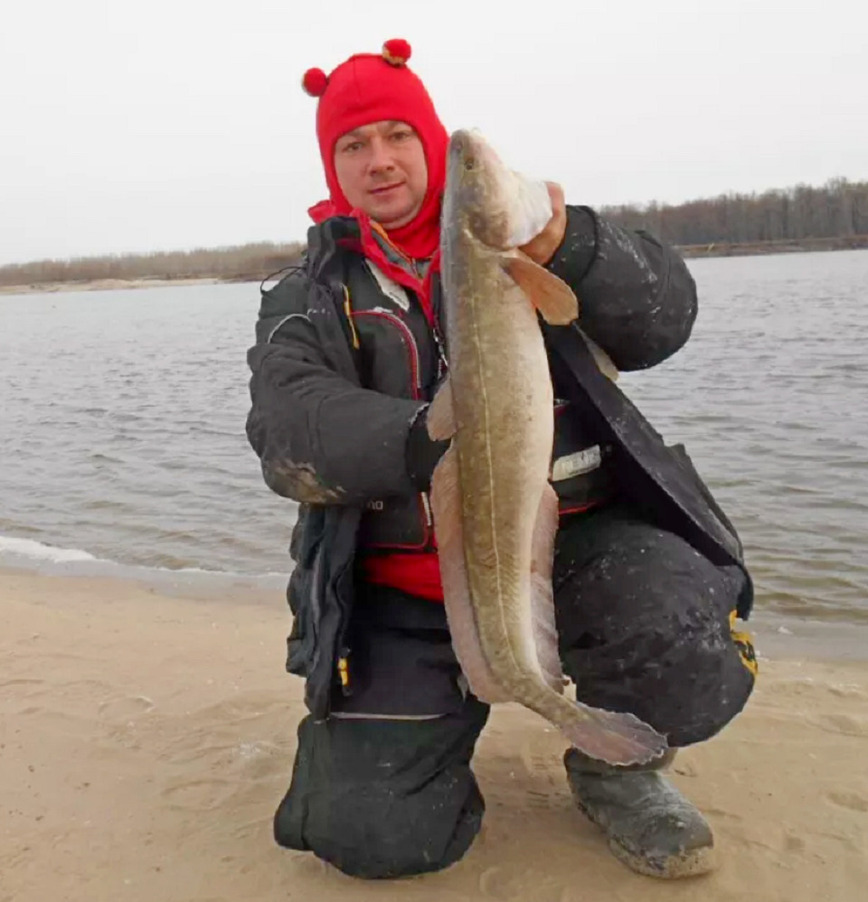 Изображение Фото автора. 