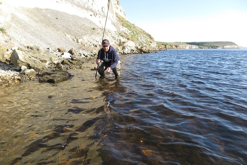 Изображение Подсачек, как правило, не нужен. Фото: Коломийца Алексея. 