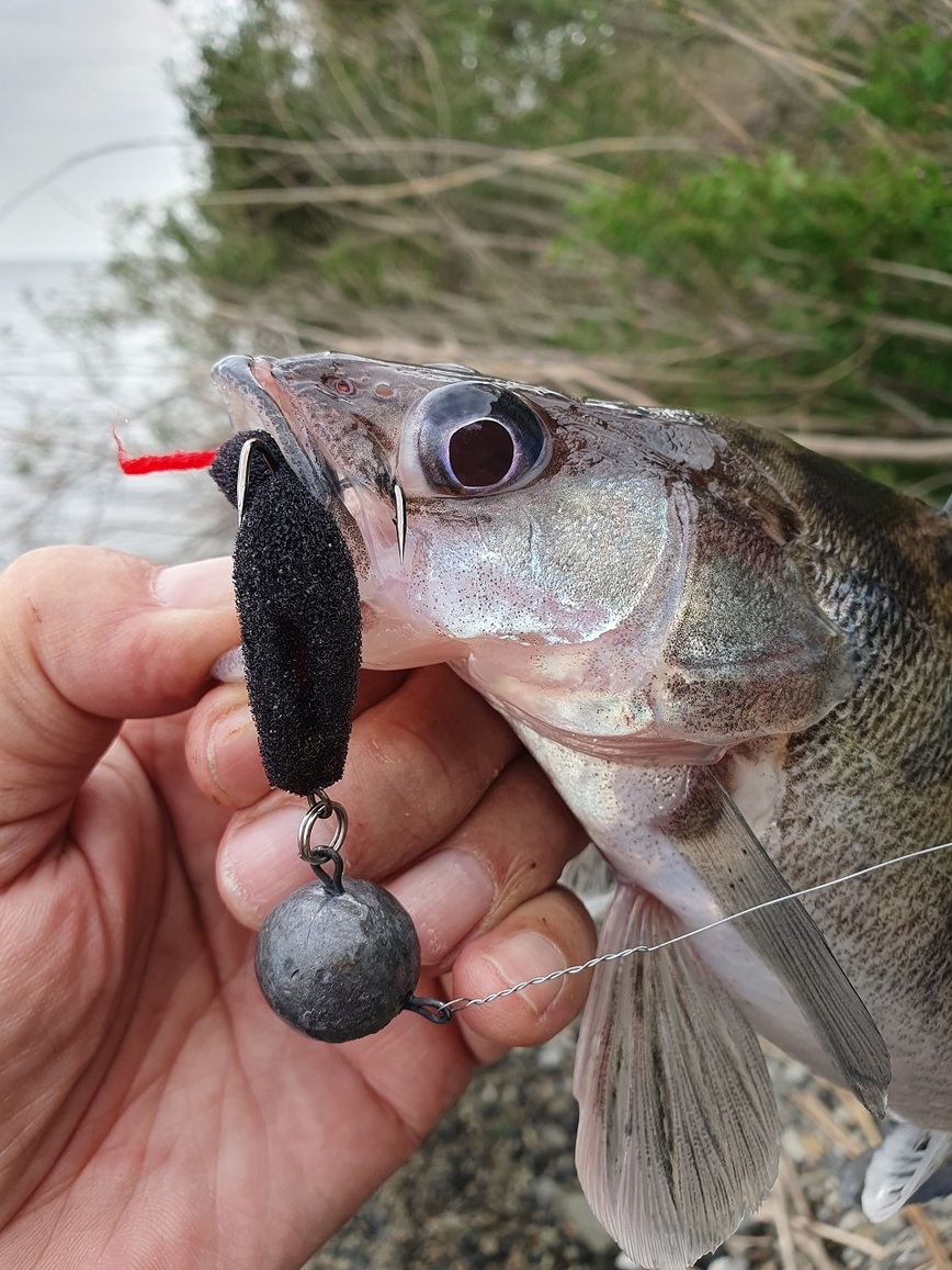 Изображение Черная поролоновая рыбка – для меня самый уловистый вариант. Фото: Коломийца Алексея. 