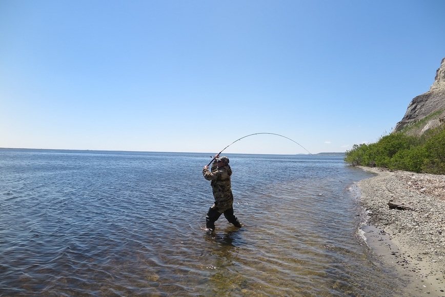 Изображение Дальний заброс трехметровым спиннингом – часть специфики. Фото: Коломийца Алексея. 