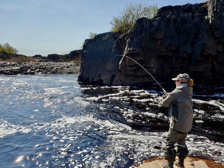 Изображение После того, как семга клюнула, предстоит длительный процесс вываживания. Фото: Шеляга Геннадия.  