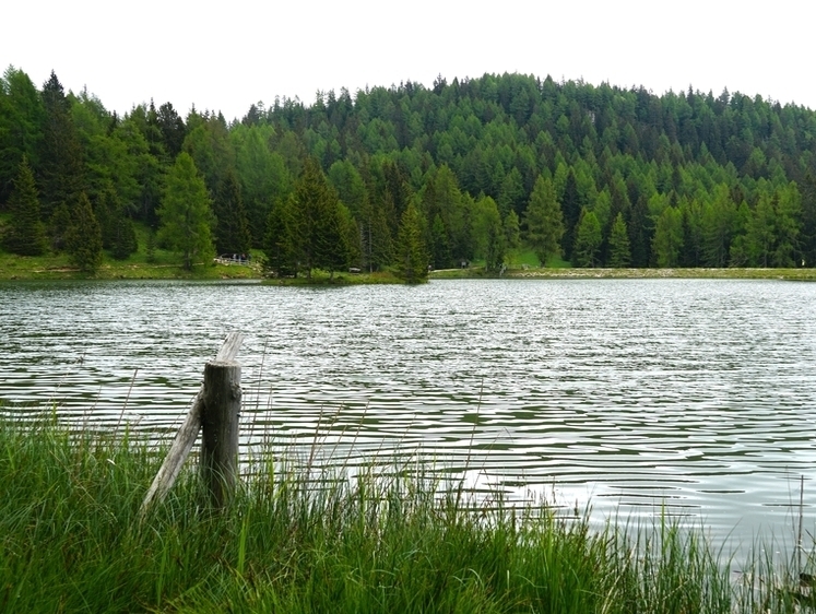 Изображение На Алтае спасатели вытащили из воды плывущего на коряге рыбака