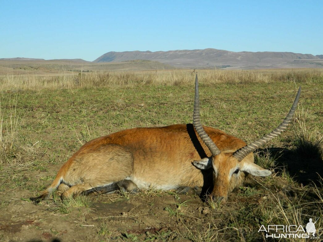 Изображение Фото: africahunting.com