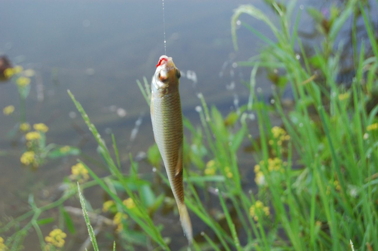 Изображение Фото: Яншевского Андрея. 