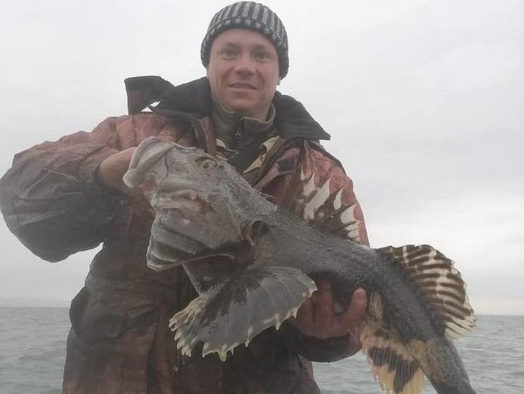 Рыбак Владивостока выловил в бухте жуткого бычка-акселерата (фото)